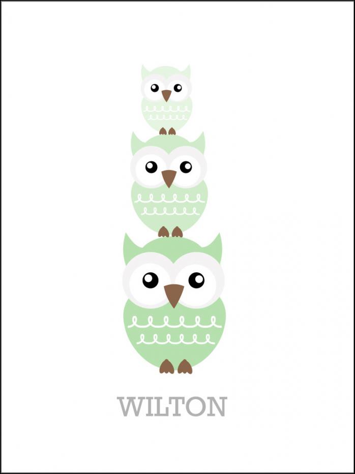 Owls Birth Poster Green