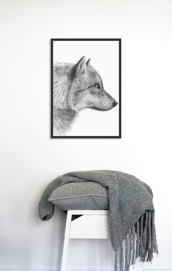 Per Svanstrm - Grey Wolf  Close up Poster