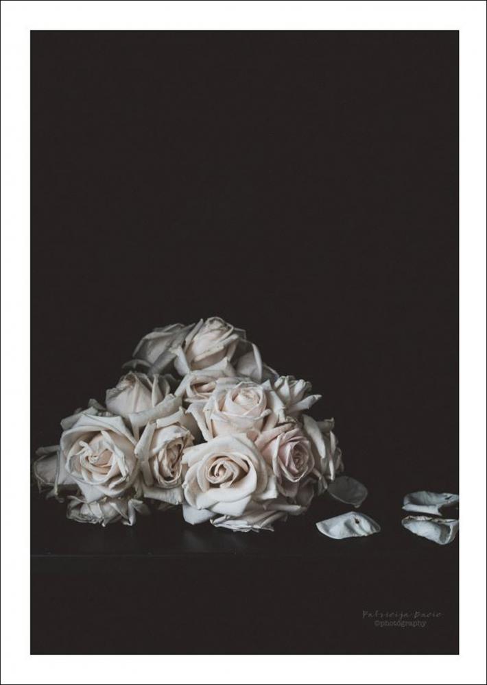 Patricija Dacic - Faded Roses - 50x70 cm Poster