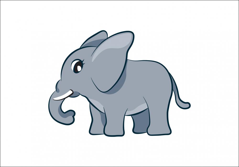 Vrldens Djur Elefant I Poster