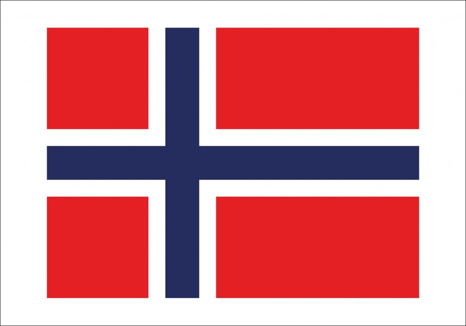Flagga - Norge Poster
