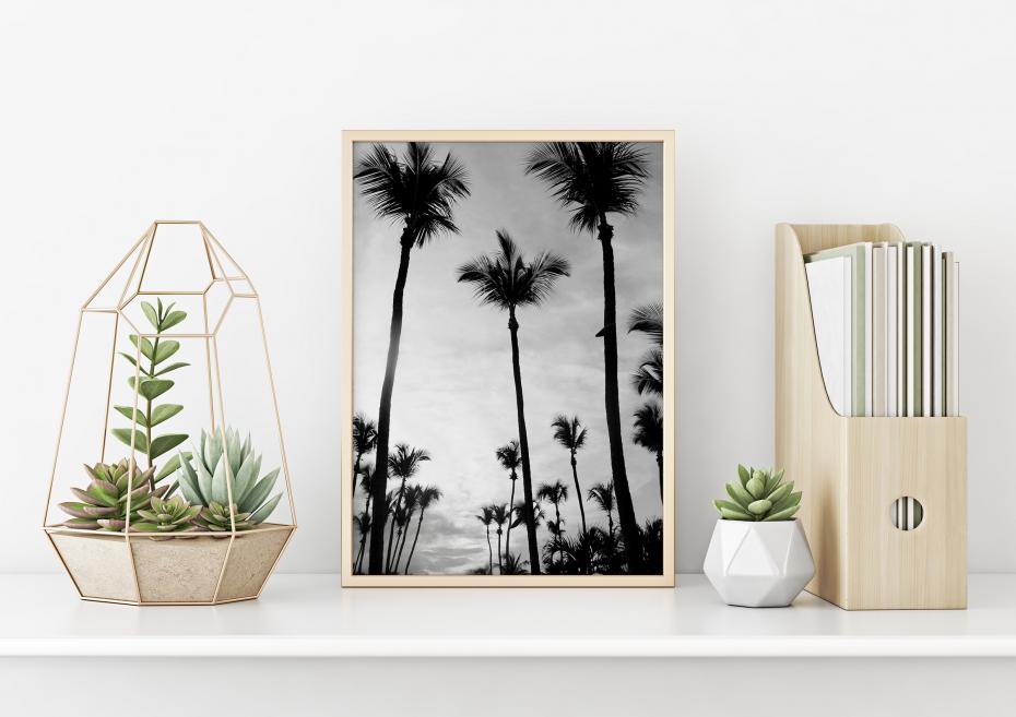 Palm Trees 40x50 cm Poster