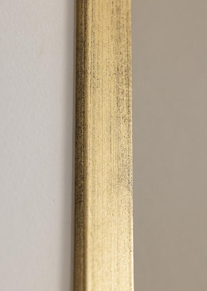Ram Stilren Akrylglas Guld 40x50 cm