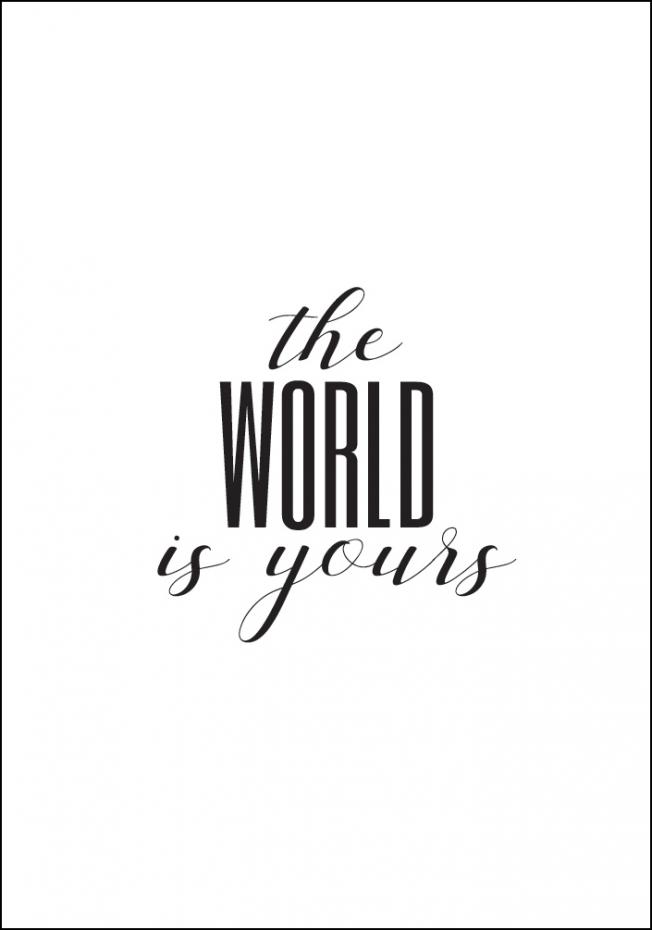 The world is yours Poster
