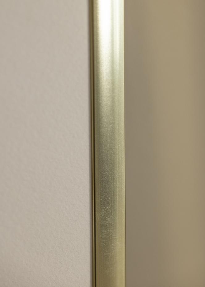 Ram Poster Frame Aluminum Akrylglas Gold 61x91,5 cm