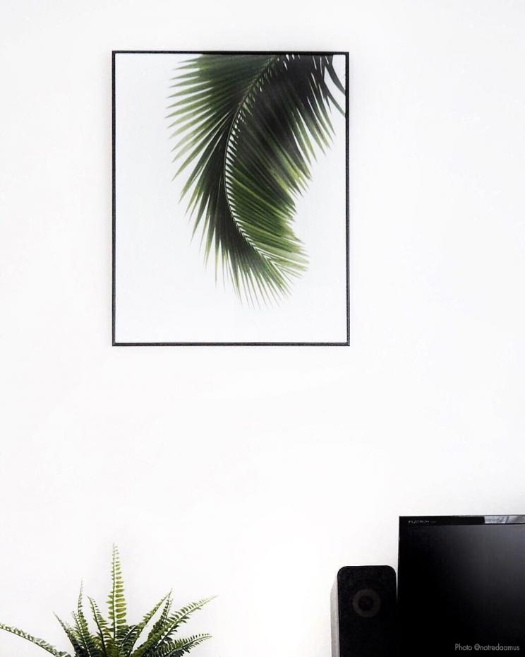 Palm Leaf - 40x50 cm Poster