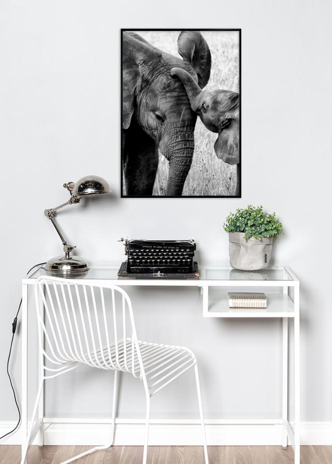 Elefant med unge - 50x70 cm Poster