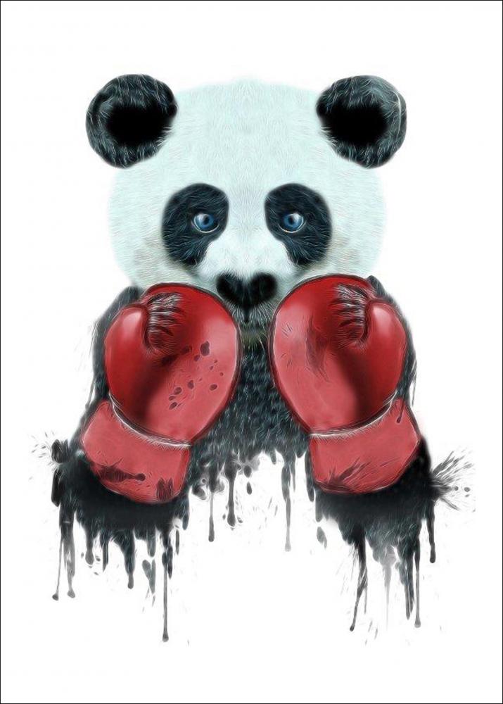 Boxing Panda - 30x40 cm Poster