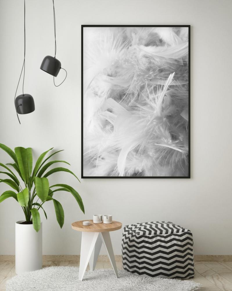 White Feathers Poster