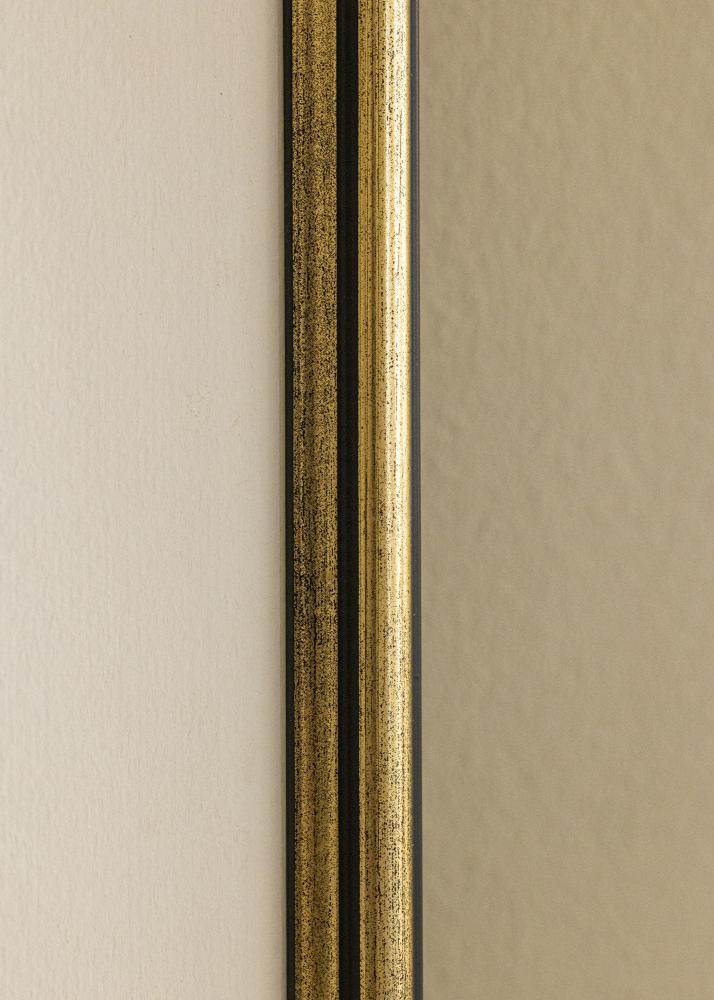 Ram Horndal Guld 24x30 cm