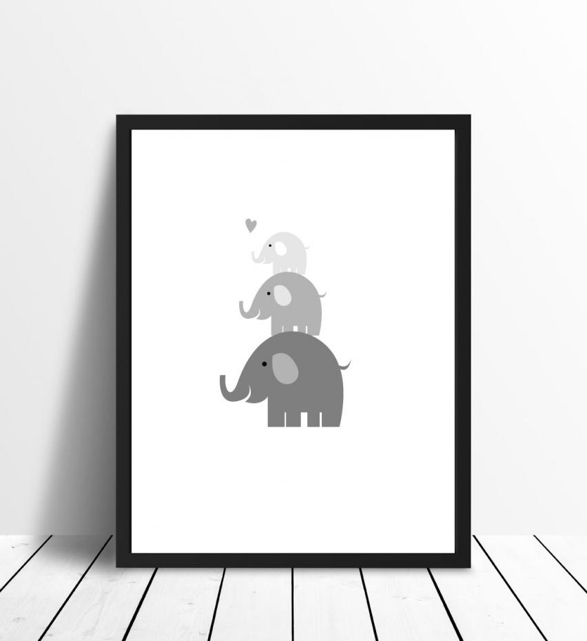 Elefant Triss - Dimgr Poster