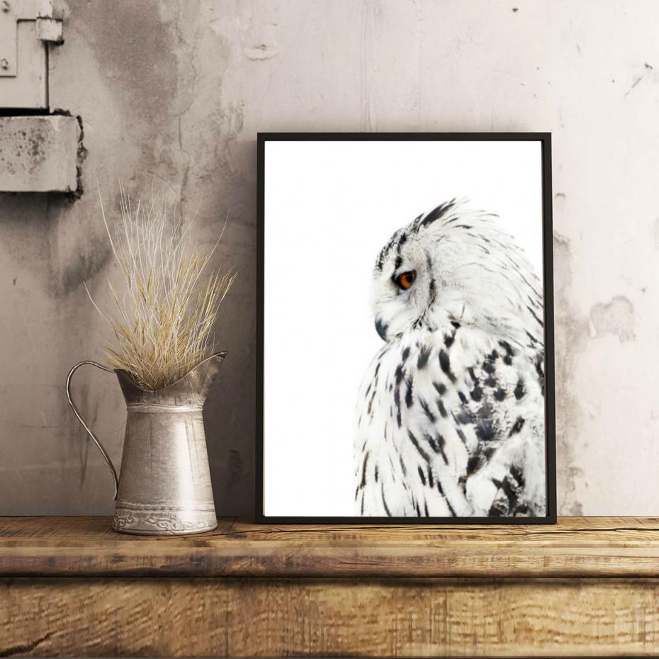 White Owl Poster