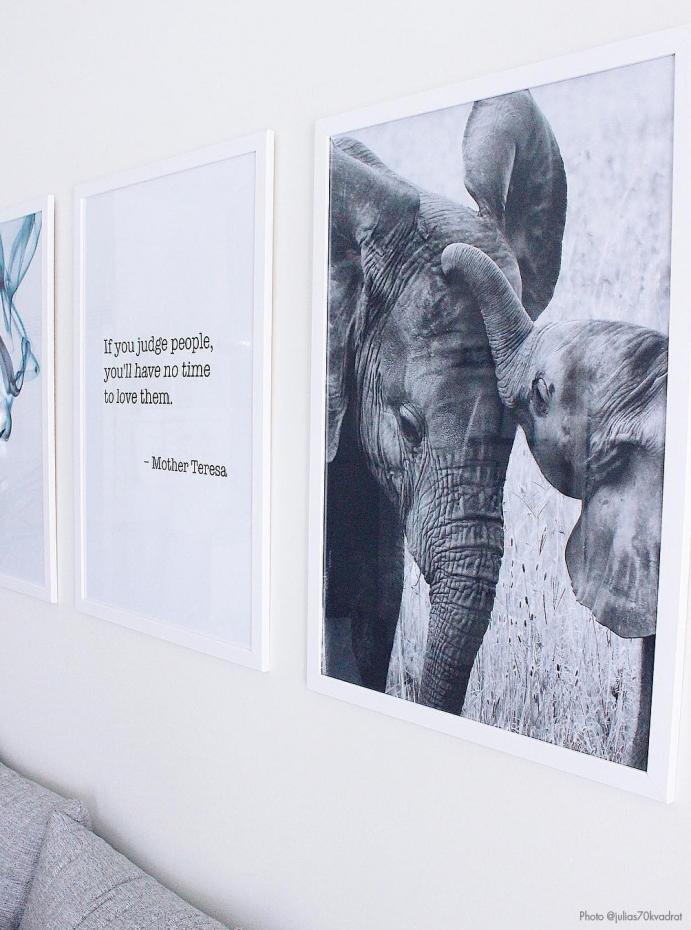 Elefant med unge - 50x70 cm Poster