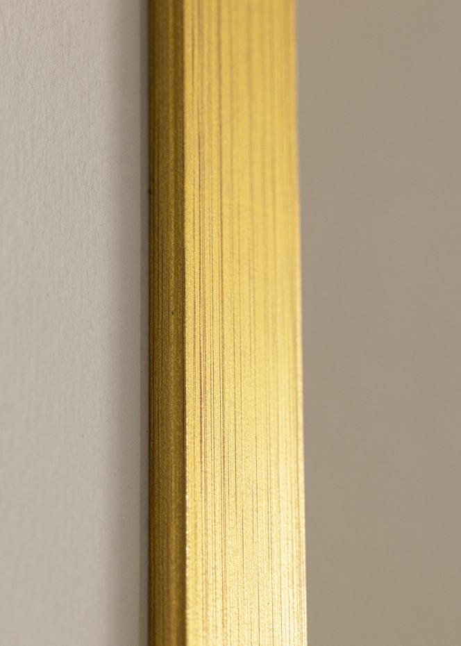 Ram Falun Guld 24x30 cm