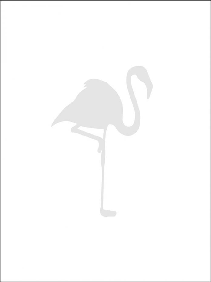 Flamingo - Gr Poster